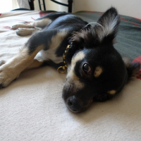 Photo de profil de Lucky