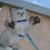 Photo de Elyott
