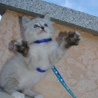 Photo de profil de Elyott