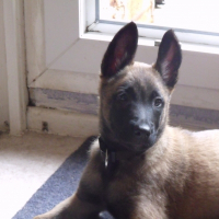 Photo de profil de Kenzo