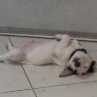 Photo de profil de Dooguy