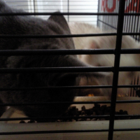 Photo de profil de Symba