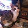 Photo de Zyna