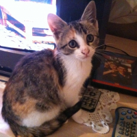 Photo de profil de Zyna