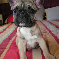 Photo de profil de Lucette