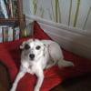 Photo de Roxana