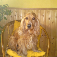 Photo de profil de Cora