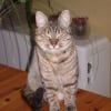 Photo de Canelle