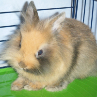 Photo de profil de Rouck
