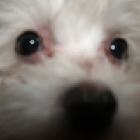 Photo de profil de Maggie
