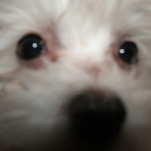 Photo de profil de Maggie