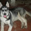 Photo de Cloud