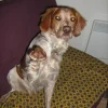 Photo de Eole