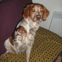 Photo de profil de Eole