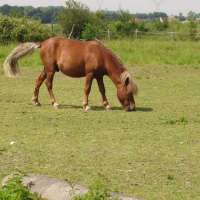 Photo de profil de Poly