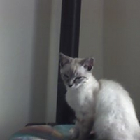 Photo de profil de Ellroy