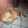 Photo de Louna