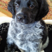 Photo de profil de Woody