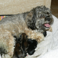 Photo de profil de Couette