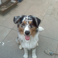 Photo de profil de Cheeky