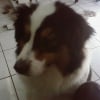 Photo de Briska (dit bamba)