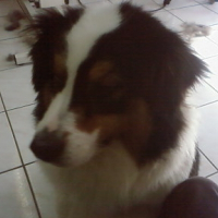 Photo de profil de Briska (dit bamba)