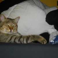 Photo de profil de Titou