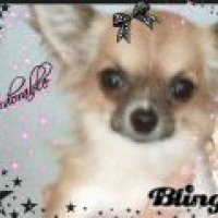 Photo de profil de Chanel