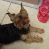 Photo de Minie