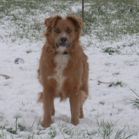 Photo de profil de Boumba