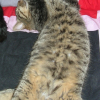 Photo de Padnom