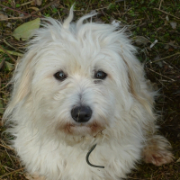 Photo de profil de Briska