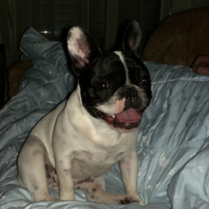 Photo de profil de Heidi