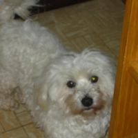 Photo de profil de Aline