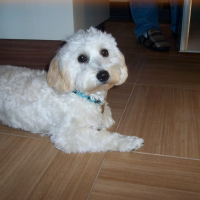 Photo de profil de Usty