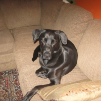 Photo de profil de Lylie