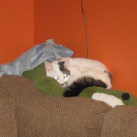Photo de profil de Praline