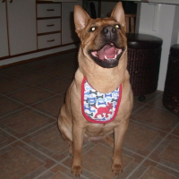 Photo de profil de Fripoune