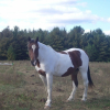 Photo de Mystic