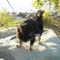 Photo de profil de Louky