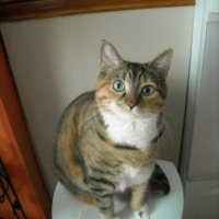 Photo de profil de Canelle