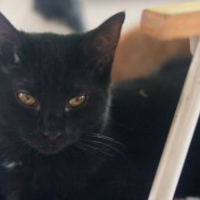 Photo de profil de Darwin