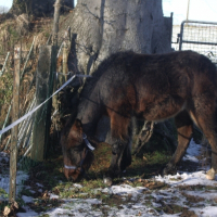 Photo de profil de Lola