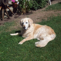 Photo de profil de Nutsy