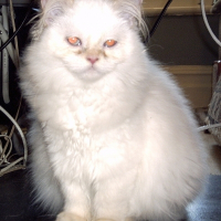 Photo de profil de Nuage