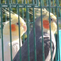 Photo de profil de Jojo & juju