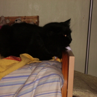 Photo de profil de Princesse