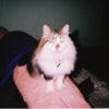 Photo de Pilou