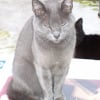 Photo de Penelope
