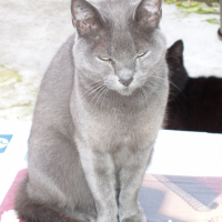 Photo de profil de Penelope